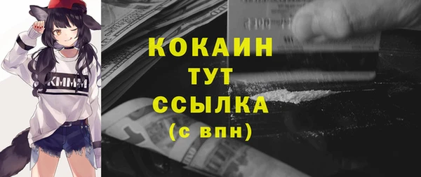 шишки Армянск