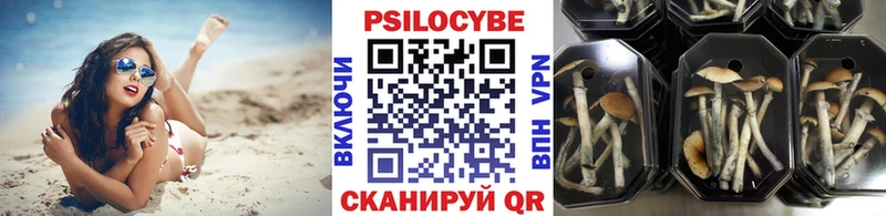 Псилоцибиновые грибы Cubensis  Аткарск 